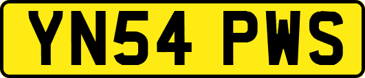 YN54PWS