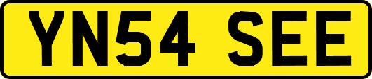 YN54SEE