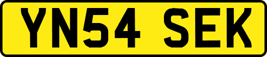YN54SEK