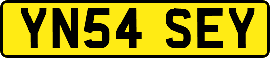 YN54SEY