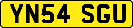YN54SGU