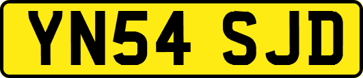 YN54SJD