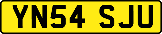 YN54SJU