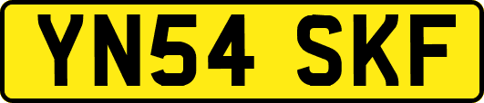 YN54SKF