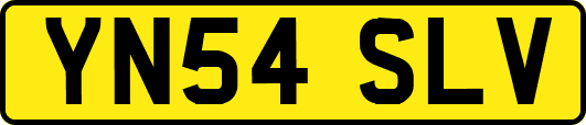 YN54SLV