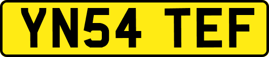YN54TEF