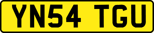 YN54TGU