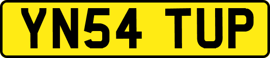 YN54TUP