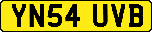 YN54UVB