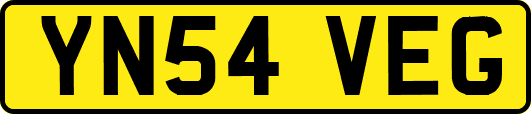 YN54VEG