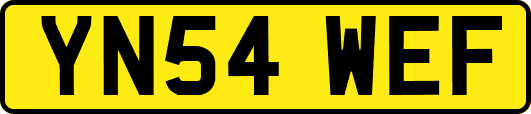 YN54WEF