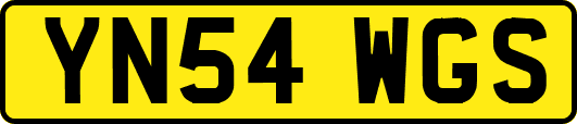 YN54WGS