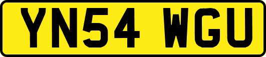 YN54WGU