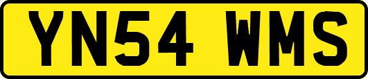 YN54WMS