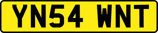 YN54WNT