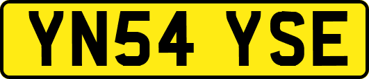 YN54YSE