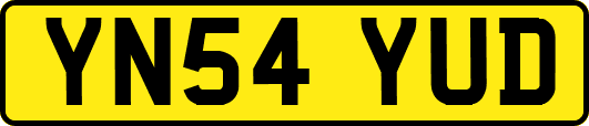 YN54YUD