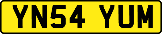 YN54YUM
