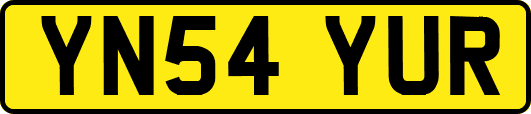 YN54YUR