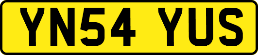 YN54YUS