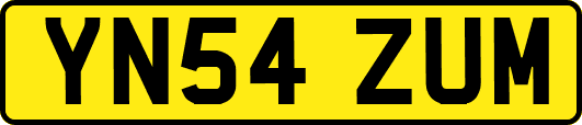 YN54ZUM