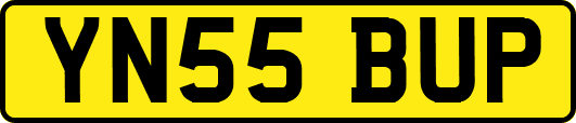 YN55BUP