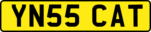 YN55CAT