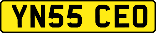 YN55CEO