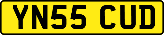 YN55CUD