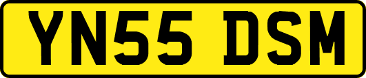 YN55DSM