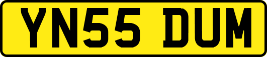 YN55DUM