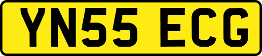 YN55ECG