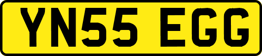 YN55EGG