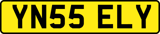 YN55ELY