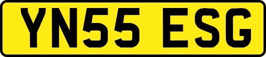 YN55ESG