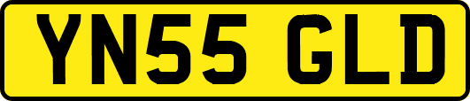 YN55GLD