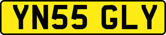 YN55GLY
