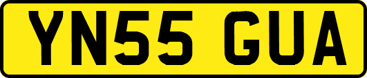 YN55GUA