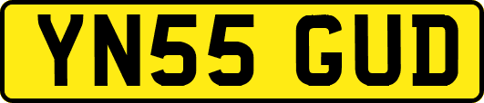 YN55GUD