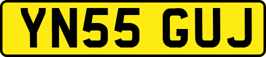 YN55GUJ