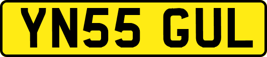 YN55GUL