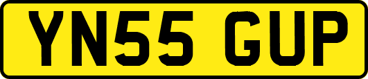 YN55GUP