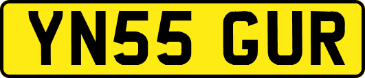 YN55GUR