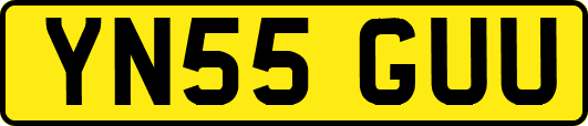 YN55GUU