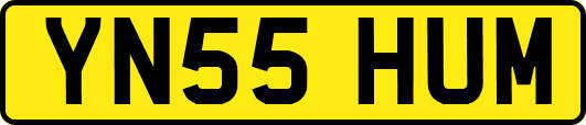 YN55HUM