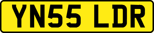 YN55LDR