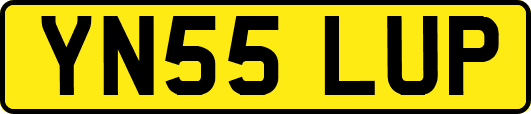 YN55LUP