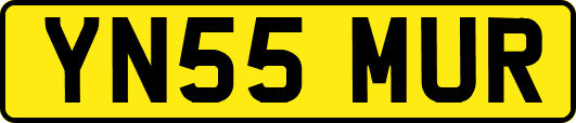 YN55MUR