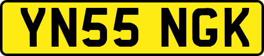 YN55NGK