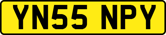 YN55NPY